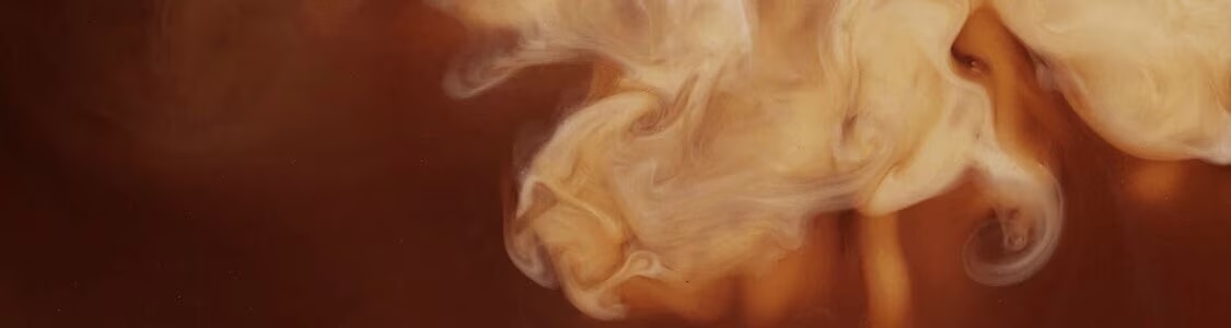  所有風味 banner