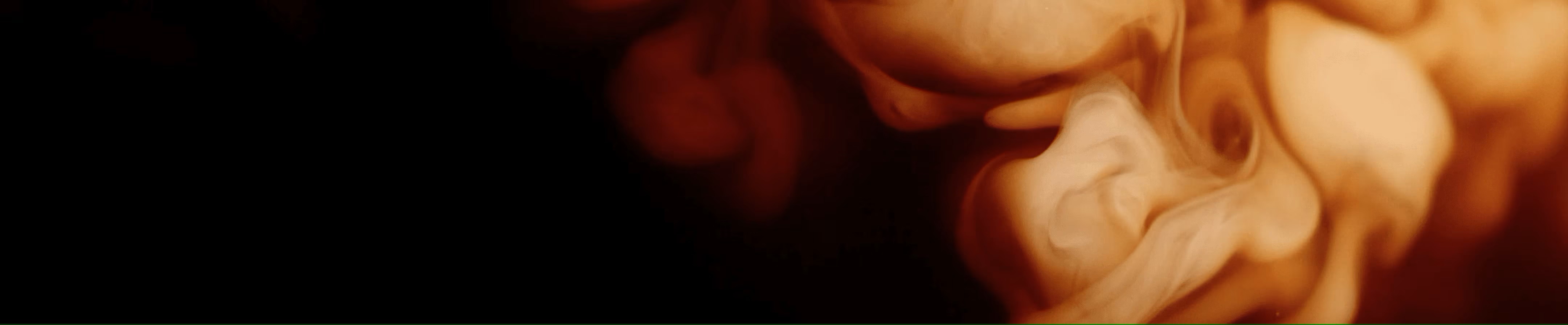拿鐵與卡布奇諾 banner